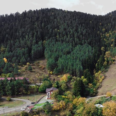Holiday Borjomi Qvibisi Esterno foto