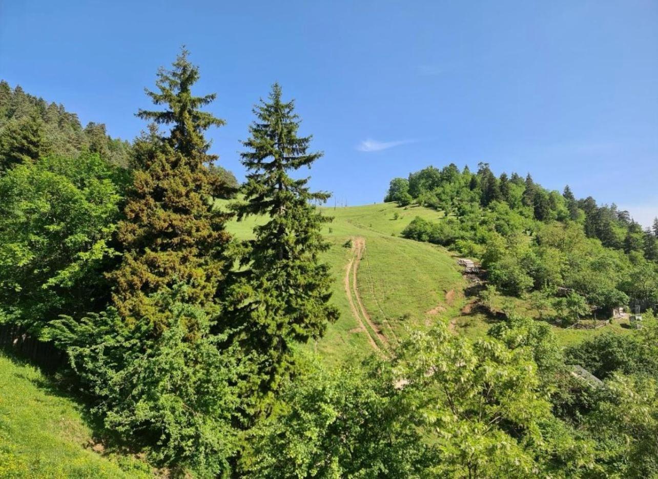 Holiday Borjomi Qvibisi Esterno foto