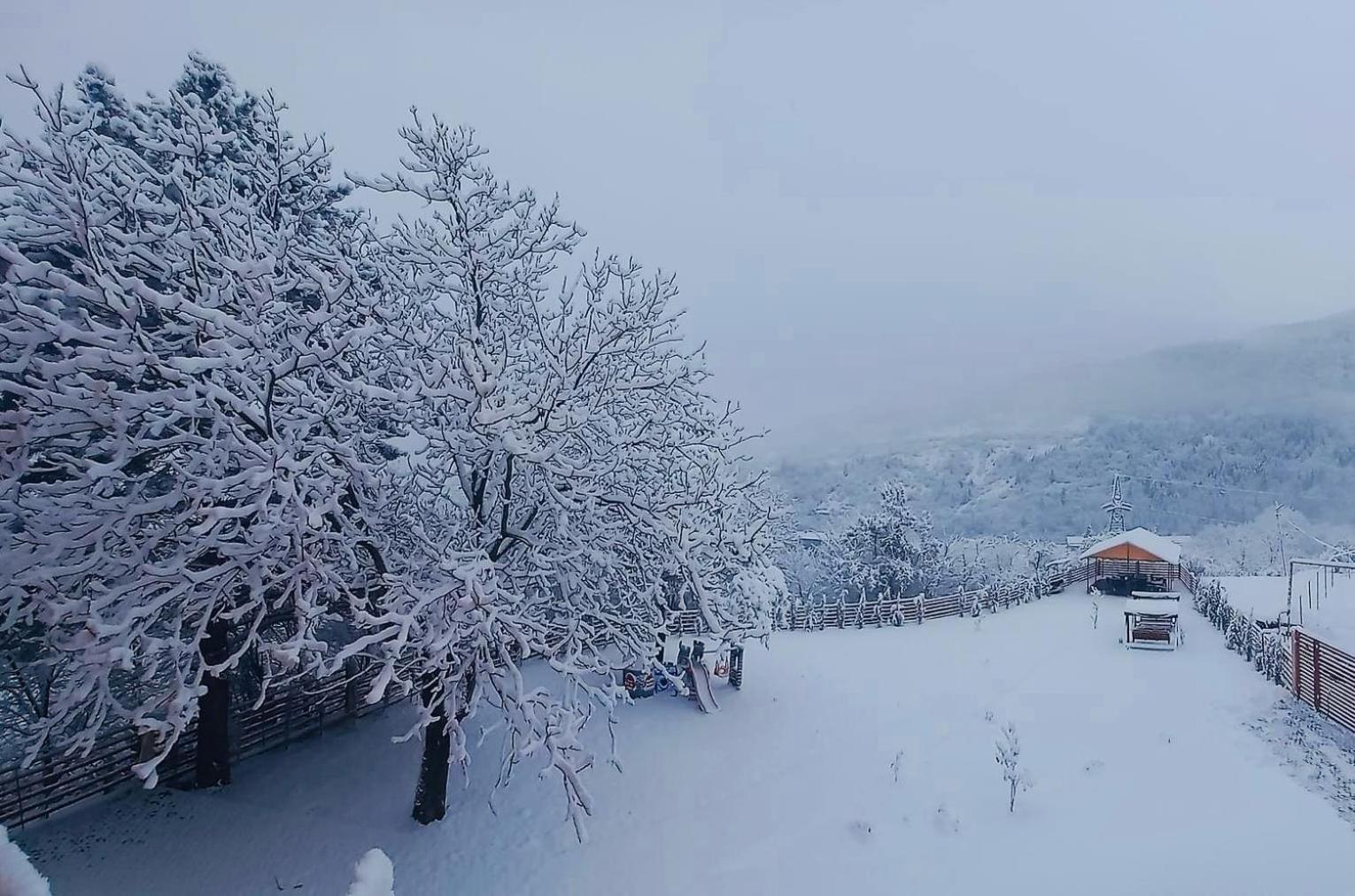Holiday Borjomi Qvibisi Esterno foto