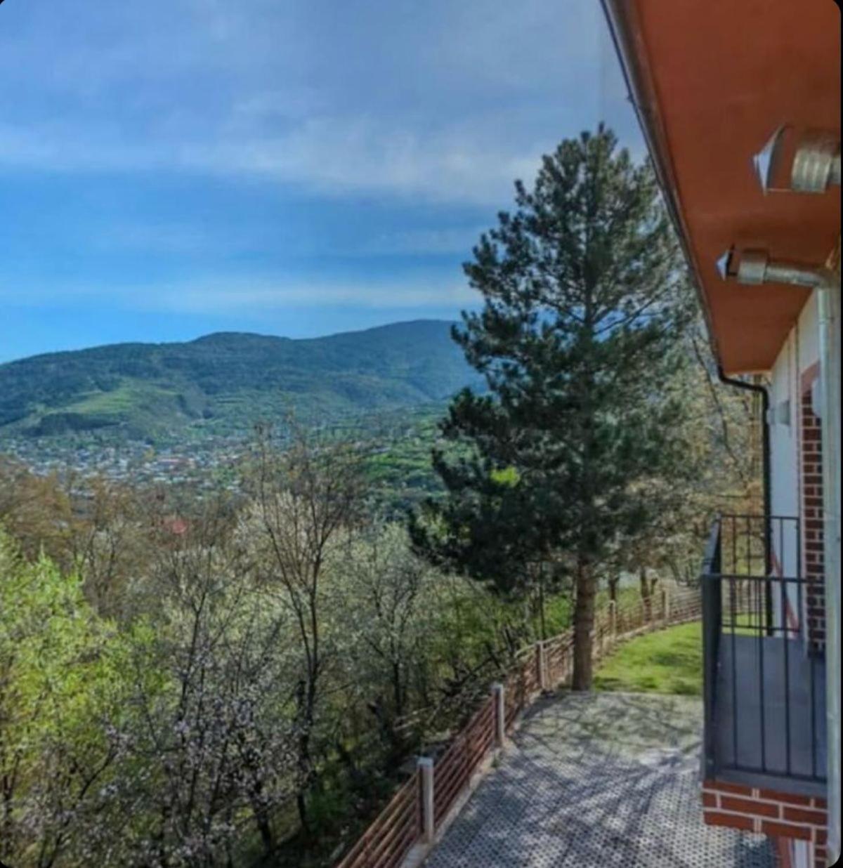 Holiday Borjomi Qvibisi Esterno foto