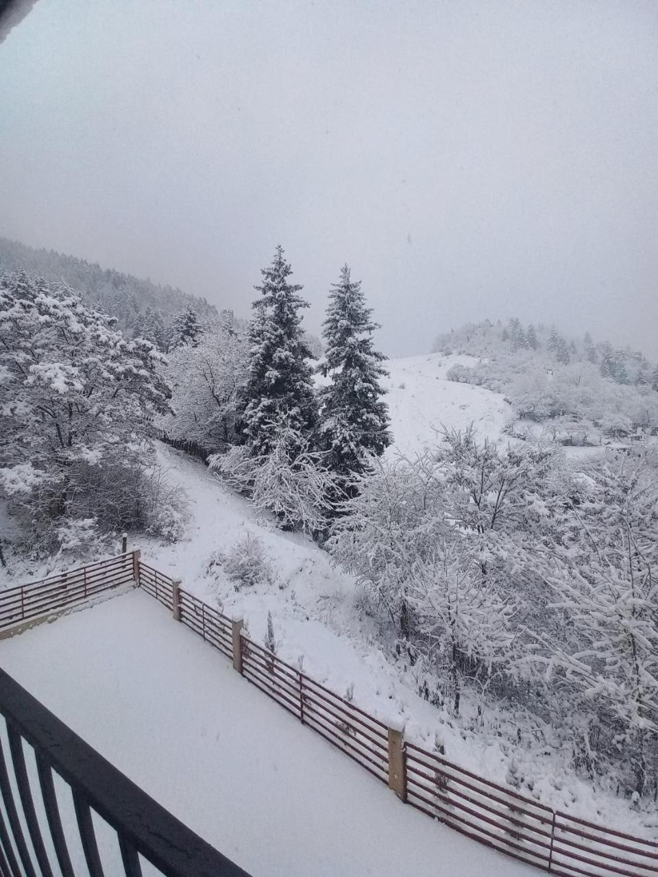 Holiday Borjomi Qvibisi Esterno foto